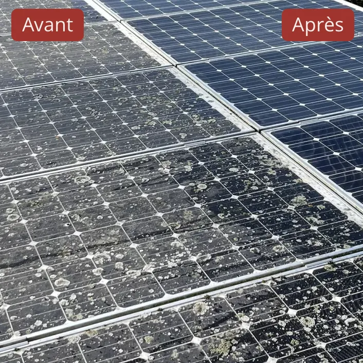 Avant / après nettoyage de panneaux photovoltaïques par drone : dépôts, lichens retirés, surface redevenue propre